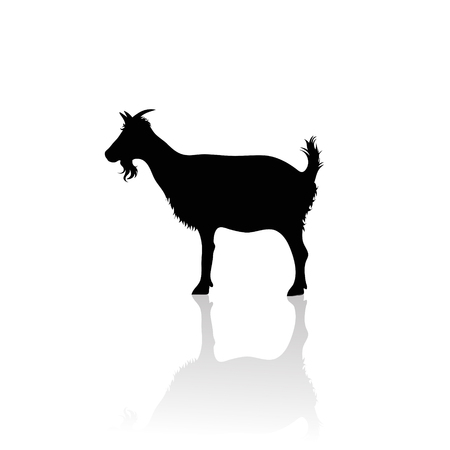 Vector silhouette of goat on white background.Symbol of animal and nature.のイラスト素材