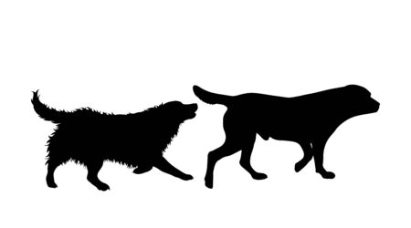 Vector silhouette of couple of dogs. Symbol of animal friends on white background.のイラスト素材