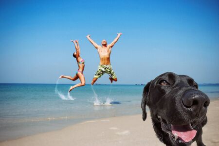 Happy couple and dog on vacation in the beach.の写真素材