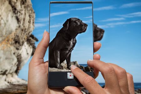 Woman photographing on cell phone labrador dog in rocky beach.の写真素材