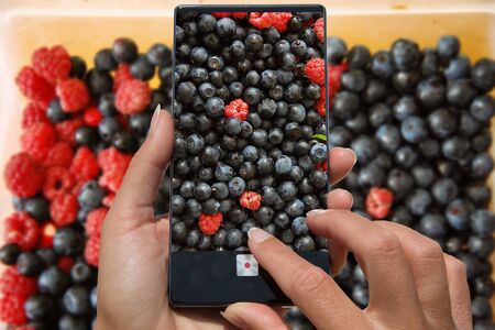 Woman photographing on cell phone forest fruit blueberries and raspberries.の写真素材