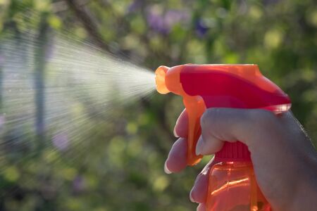 Woman spraying flowers in the garden. Pesticides, insecticide protection.