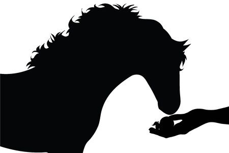 Vector silhouette of person who give food his horse on white background. Symbol of animal, pet, eat, care, save, vet, farm, veterinary.のイラスト素材