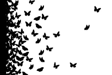 Vector silhouette of butterfly on white background. Symbol of animal, insect, fly, migratory.のイラスト素材