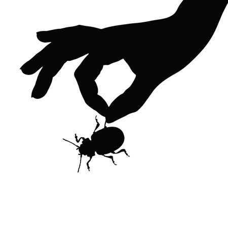 Vector silhouette of the person who abuses the beetle on white background. Symbol of animal, insect, nature, evil, hurt, torment, bother.のイラスト素材