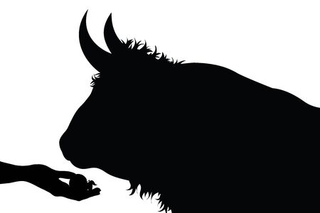 Vector silhouette of person who give food to a bull on white background. Symbol of animal, cow, beef, eat, care, save, vet, veterinary, farm.のイラスト素材
