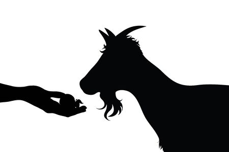 Vector silhouette of person who give food his goat on white background. Symbol of animal, pet, eat, care, save, vet, veterinary, farm.のイラスト素材