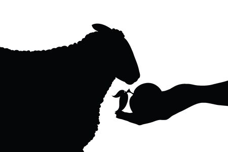 Vector silhouette of person who give food his sheep on white background. Symbol of animal, pet, eat, care, save, vet, veterinary, farm.のイラスト素材