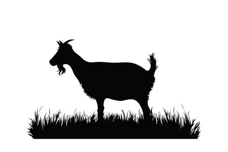 Vector silhouette of goat in the grass on white background. Symbol of animal, farm, milk, nature, pasture.のイラスト素材