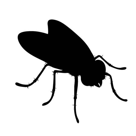 Vector silhouette of fly on white background. Symbol of macro insect with wings.のイラスト素材