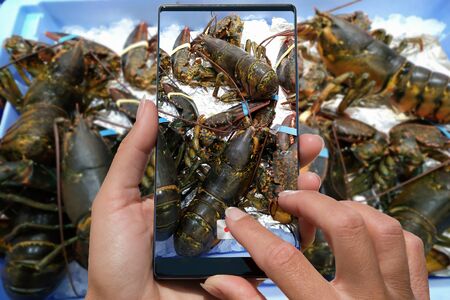 Woman photographing on cell phone lobster o seafood fish market.の写真素材