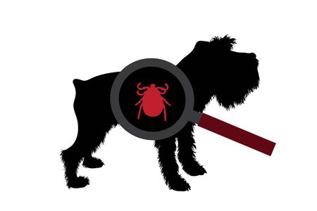 Vector silhouette of tick under magnifying glass sitting on dog on white background. Symbol of insect who annoying animal.のイラスト素材
