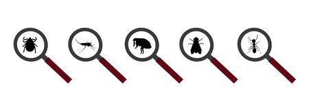 Vector silhouette of flea and fly and tick and mosquito under magnifying glass on a white background. Symbol of parasites like set together.のイラスト素材