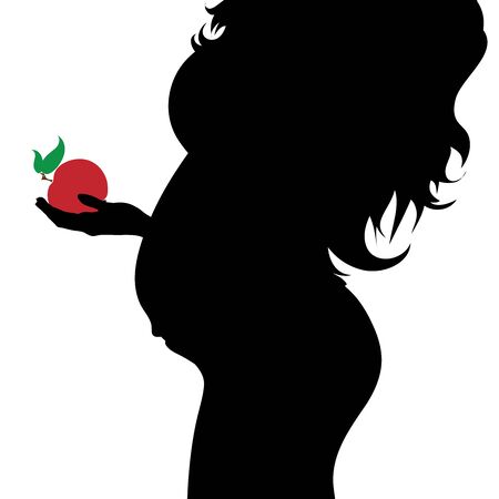 Vector silhouette of pregnant woman with healthy food on white background. Symbol of maternity and body care.のイラスト素材