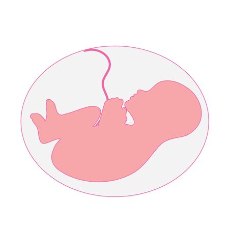 Vector illustration of fetus inside womb on white background. Symbol of baby.のイラスト素材