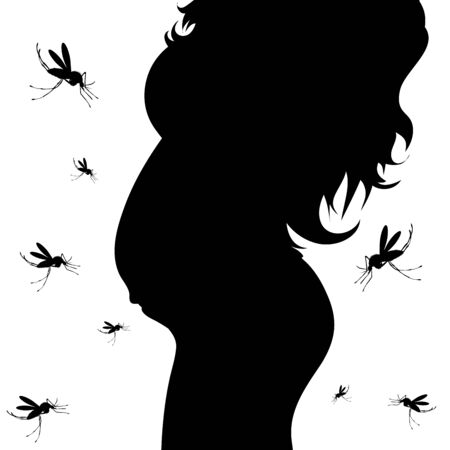 Vector silhouette of pregnant woman with danger of Zika virus on white background. Symbol of maternity and prevention illness..のイラスト素材