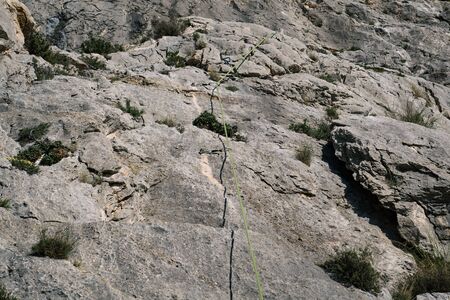 Close-up equipment of rock climber with rope on the rock.