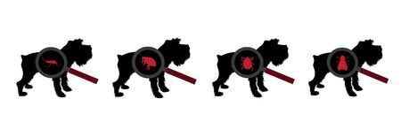 Vector silhouette of set of insect under magnifying glass sitting on dog on white background. Symbol of insect who annoying animal.のイラスト素材