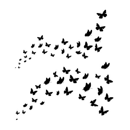Set of vector silhouette of butterflies on white background. Symbol of nature and insect.のイラスト素材