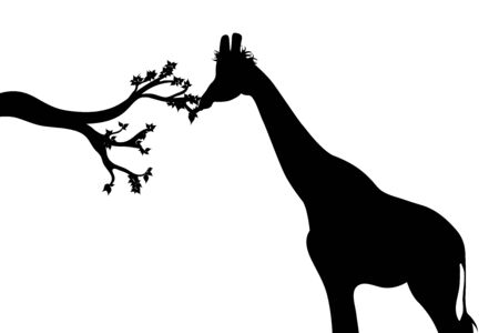 Vector silhouette of branch who eating giraffe on white background. Symbol of nature.のイラスト素材