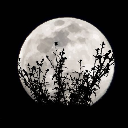 Vector silhouette of meadow with moon background. Symbol of night.のイラスト素材
