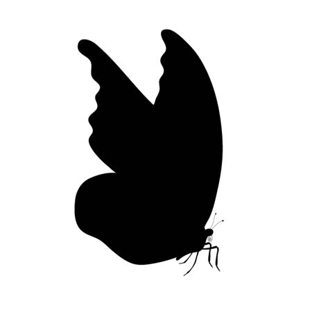 Vector silhouette of butterfly on white background. Symbol of animal.のイラスト素材