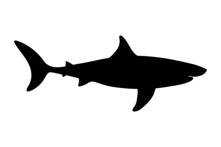Vector silhouette of shark on white background. Symbol of ocean animal.のイラスト素材