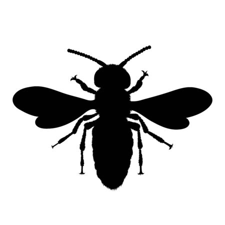 Vector silhouette of bee on white background. Symbol of animal.のイラスト素材