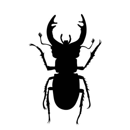 Vector silhouette of stag beetle on white background. Symbol of animal.のイラスト素材