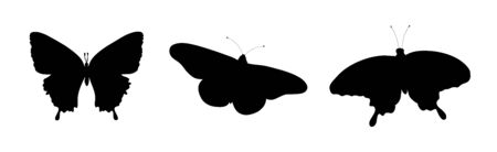 Set of vector silhouette of butterflies on white background. Symbol of insect.のイラスト素材