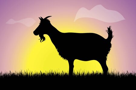 Vector silhouette of goat in the grass at sunset. Symbol of farm.のイラスト素材
