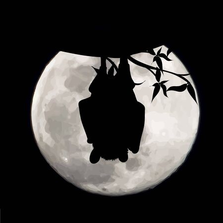 Vector silhouette of sleeping bat on moon background. Symbol of night creature.のイラスト素材
