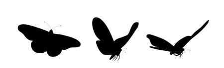 Set of vector silhouette of butterflies on white background. Symbol of insect.のイラスト素材