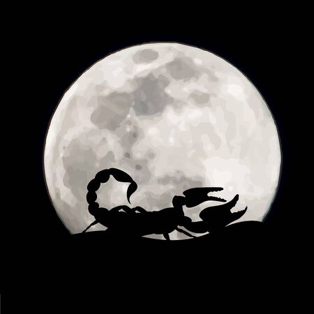 Vector silhouette of scorpion on moon background. Symbol of night.のイラスト素材