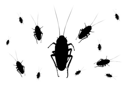Vector silhouette of group of cockroach. Symbol of insect.のイラスト素材