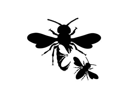 Vector silhouette of bee on white background. Symbol of animal.のイラスト素材