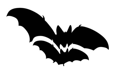 Vector silhouette of couple of bats on white background. Symbol of animal.のイラスト素材