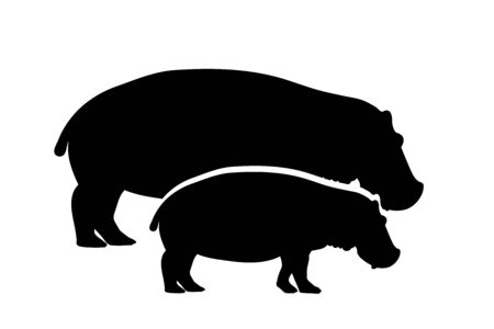 Vector silhouette of couple of hippopotamus. Symbol of wild animal.のイラスト素材