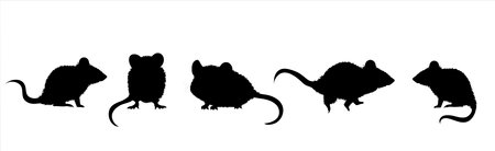 Vector silhouette of collection of mouse on white background. Symbol of farm animal and rodent.のイラスト素材
