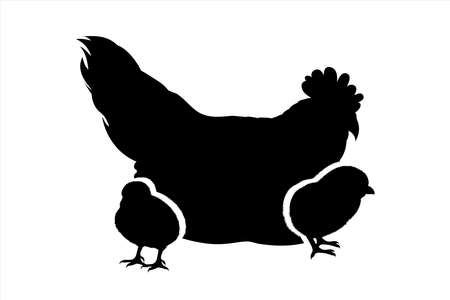 Vector silhouette of hen with chickens on white background. Symbol of farm animal and poultry.のイラスト素材