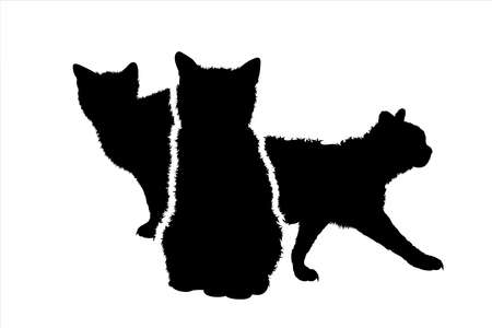 Vector silhouette of collection of cats on white background. Symbol of home animal and pet.のイラスト素材