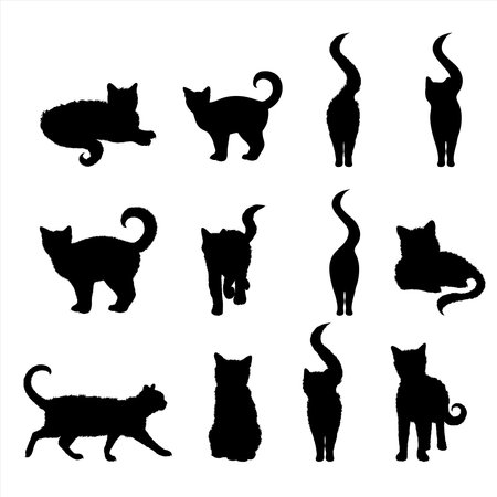 Vector silhouette of collection of cats on white background. Symbol of home animal and pet.のイラスト素材