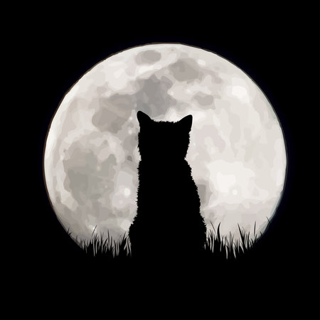 Vector silhouette of cat on moon background. Symbol of night and home animals.のイラスト素材
