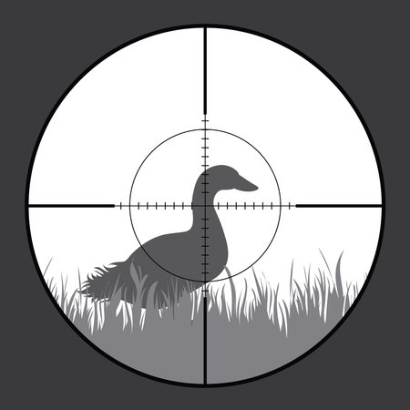 Vector silhouette of duck in rifle sight while hunting. The hunter watches his victim.のイラスト素材