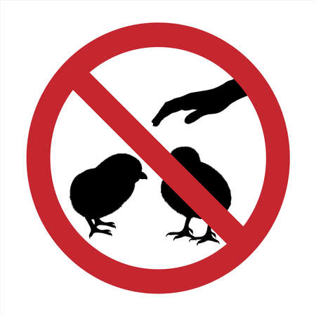 Vector silhouette of do not touch chicken mark on white background. Symbol of prohibition with animal.のイラスト素材