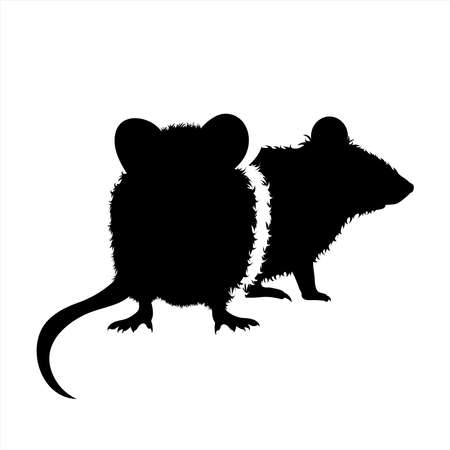 Vector silhouette of couple of mouse on white background. Symbol of farm animal and rodent.のイラスト素材