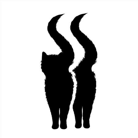 Vector silhouette of couple of cats on white background. Symbol of home animal and pet.のイラスト素材