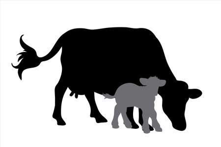 Vector silhouette of cow and calf on white background. Symbol of farm animal.のイラスト素材
