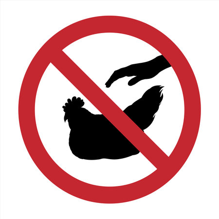 Vector silhouette of do not touch hen mark on white background. Symbol of prohibition with animal.のイラスト素材