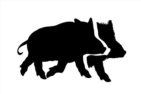 Vector silhouette of couple of wild boars on white background. Symbol of forest animals.のイラスト素材